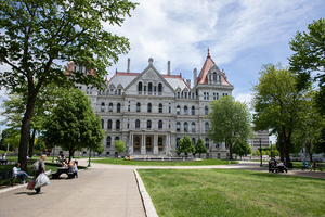 Following changes to New York state’s 2020 budget, the number of political third parties that can appear on ballots across the state decreased from six to two, the Working Families Party and the Conservative Party.